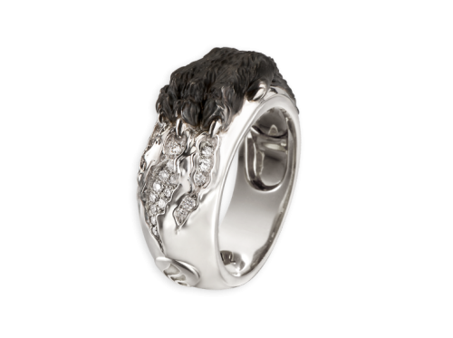 ring_belleza_interior_1_x