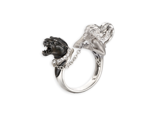 ring_dominio_1_x