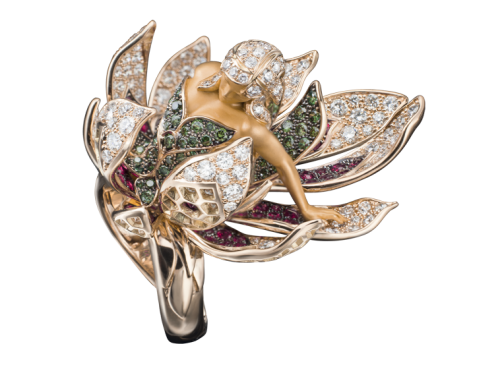 ring_eclosion_1_x