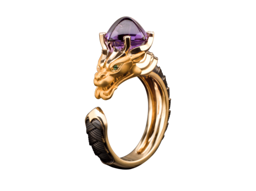 ring_guardian_1_x