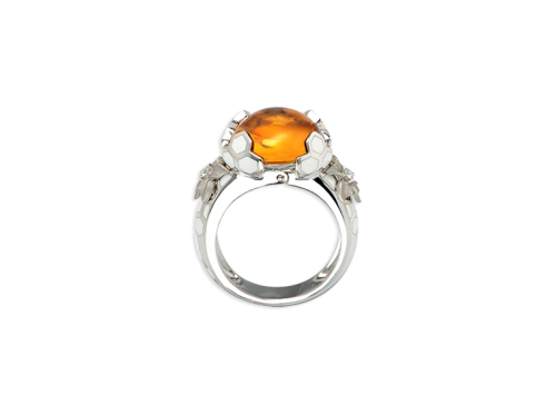 ring_panal_1_x
