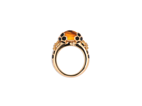 ring_panal_2_x