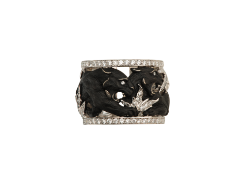 ring_puma_2_x